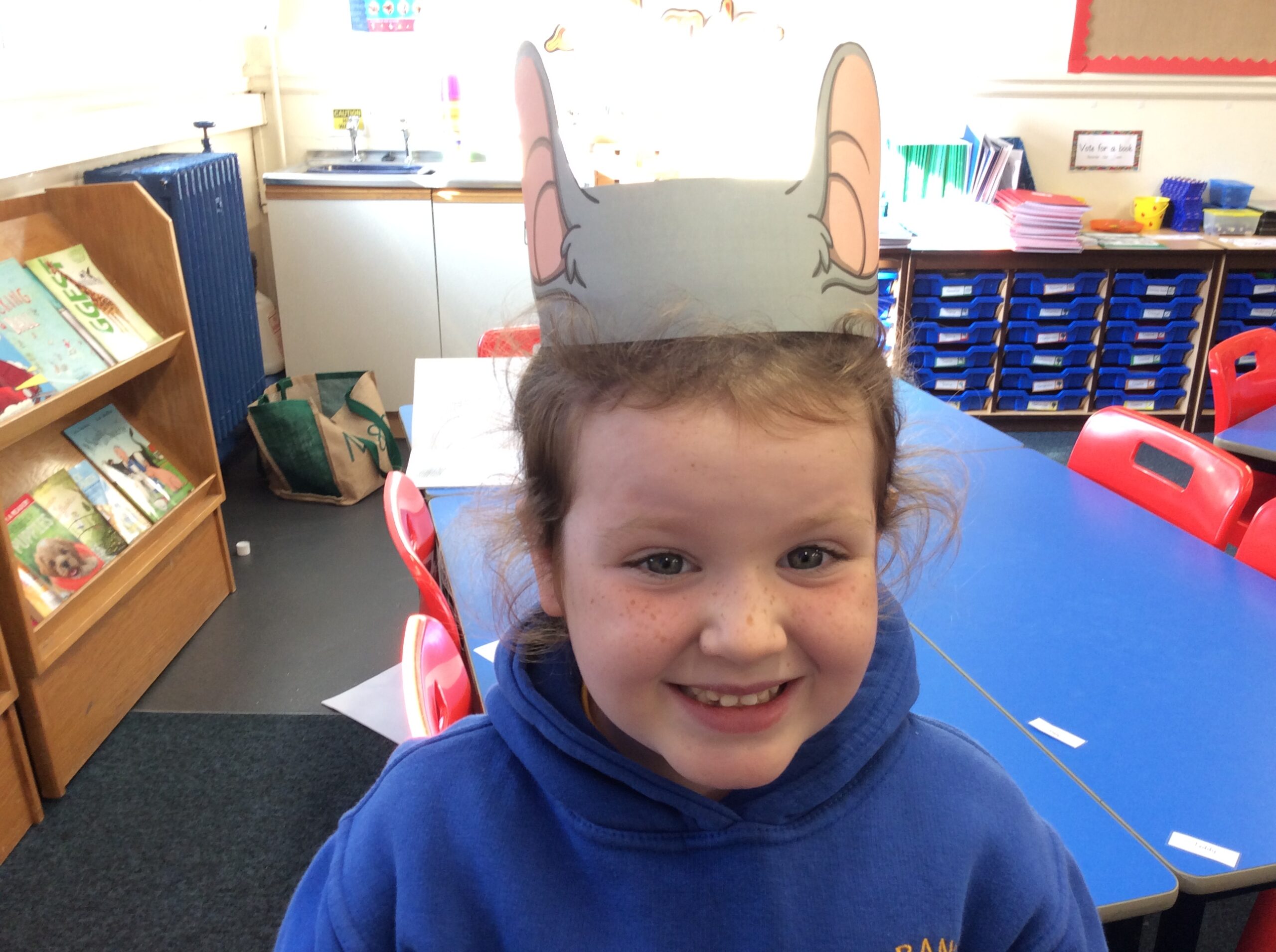 Questions for a mouse hero